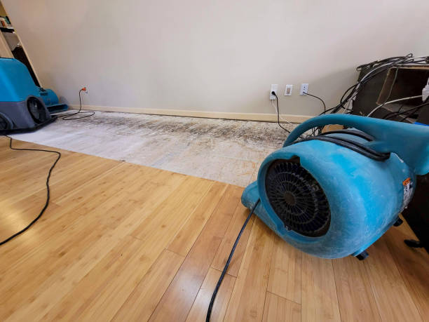 Professional Water Extraction technician working in Glenview, IL